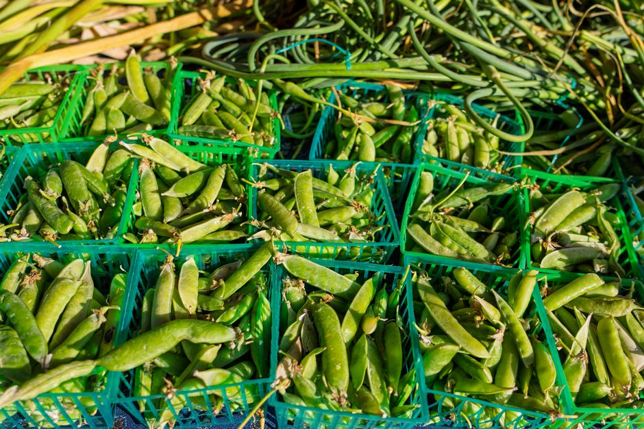 Manger de saison : le calendrier du printemps